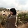 글쓴 프로필