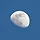 사월달 april moon 프로필