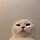 진지민 프로필
