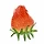 Bule berry 프로필