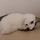 루나 프로필