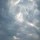 소하 프로필