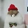 직딩딩 프로필