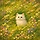 제인에어 프로필