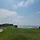 논지 프로필