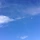 blueskies 프로필