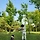 sagakpaper 프로필