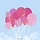 chicrabbit 프로필