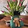 중해 프로필