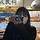 막쓰다미리 프로필