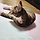 곰탱이 프로필