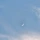 콩다 프로필