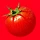 Dittomato 프로필