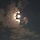 발목바라기 프로필