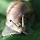 snail 프로필