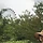 대단한 그 무엇 프로필
