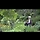 Hidden pleasures 프로필