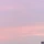 쿠리에이터 프로필