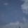 세로달 프로필