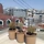 Pondy 프로필