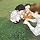 잘노는양슨생 프로필
