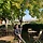 제페토 프로필