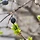 마리스텔라 프로필