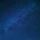 낮에 뜨는 별 Daystar 프로필