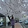 보리 프로필
