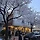 선희 프로필