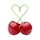 cherry 프로필