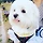 꿈꾸는중 프로필