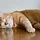 로라킴 프로필