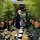 서작가 프로필