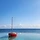 이상한나라의 슝슝 프로필