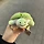 꼬북 프로필