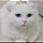 you know what감사 프로필