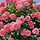 겨울자두winterplum 프로필