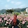 올약사 프로필