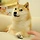 덩이 프로필