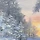 Merry Christmas 프로필