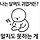 황금낑깡 프로필