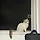 김주음 프로필