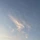 김얄리 프로필