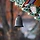 바라아제 프로필