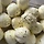 cannellini beans 프로필