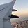 going solo 프로필