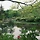 leeforest 프로필