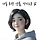 솜토리 프로필