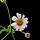 소서 프로필